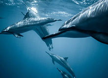 开云体育官网——畅享安全、便捷、尊贵的线上娱乐体验